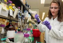 Coronavirus: estudio sugiere que los problemas digestivos pueden ser el primer signo de COVID-19 – SOY CARMÍN