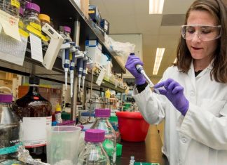 Coronavirus: estudio sugiere que los problemas digestivos pueden ser el primer signo de COVID-19 – SOY CARMÍN