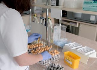 Es la cloroquina la medicina que cura o previene el vocid-19 – Sipse.com