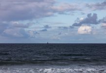 ¿Pueden salir al parque los niños? ¿Está bien organizar cenas en casa? Tips para el distanciamiento social por el coronavirus – Univision