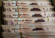 El dólar rebasó los 25 pesos en bancos, nuevo máximo histórico; mientras la Bolsa Mexicana cayó 2.49% – infobae
