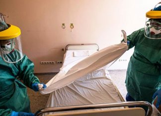 6 gráficas sobre el coronavirus: los reveladores datos de los contagiados en China – CNN México.com