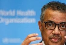 OMS afirma que se desarrollan 20 vacunas contra el coronavirus – teleSUR TV