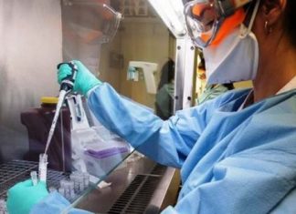 China prueba en humanos vacunas contra Covid-19 – Escambray