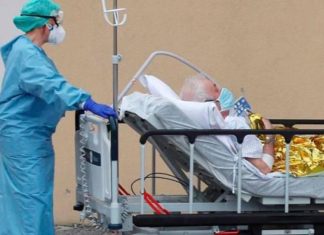 Médicos descubren: pérdida del olfato y gusto son uno de los primeros síntomas de coronavirus – SOY CARMÍN