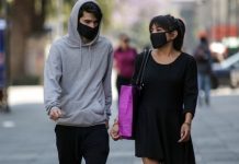 México ha entrado a una fase de transmisión local de coronavirus Covid-19: OMS | El Universal – El Universal