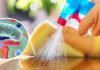 Desinfectantes naturales para limpiar la casa – Salud180
