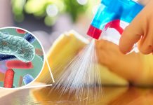 Desinfectantes naturales para limpiar la casa – Salud180