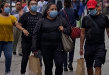 México pasa a fase 2 por COVID-19; estas son las medidas – Animal Político