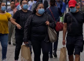 México pasa a fase 2 por COVID-19; estas son las medidas – Animal Político