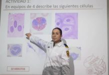 UNAM y Tec de Monterrey: clases de medicina en línea por coronavirus – Publimetro México