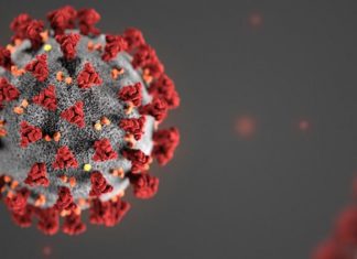 Vendrá la transmisión generalizada del coronavirus: advierte SSa – El Tiempo de México
