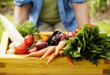 Cómo fortalecer tu inmunidad frente al coronavirus. Parte 1: dieta – CNN México.com