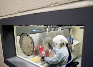 Medicinas existentes, la ruta más corta para una cura al coronavirus – Voz de América