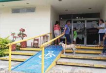 Instalan filtros en Unidad de Medicina Familiar 27 del IMSS, en Papantla – alcalorpolitico