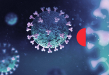 Medicina para lupus se agota en farmacia por versión de que cura COVID-19 – Noticaribe