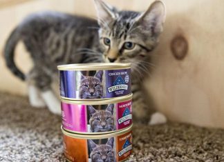 Los estadounidenses hacen compras de pánico para sus mascotas – CNN México.com