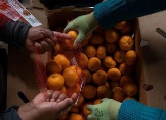 Coronavirus: ¿por qué los precios del jugo de naranja aumentan en todo el mundo? – EL INFORMADOR