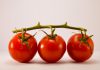 Tomate; los beneficios de belleza y salud para una piel sana – SOY CARMÍN