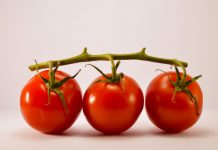 Tomate; los beneficios de belleza y salud para una piel sana – SOY CARMÍN