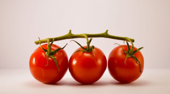 Tomate; los beneficios de belleza y salud para una piel sana – SOY CARMÍN