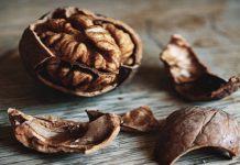 Nueces: Propiedades y beneficios para la salud de comer este delicioso fruto seco – Noticieros Televisa