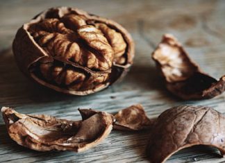 Nueces: Propiedades y beneficios para la salud de comer este delicioso fruto seco – Noticieros Televisa