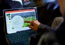 Ofertas del 50% en software para marzo: Windows 10 Pro por 8,67 euros y Office – Hipertextual