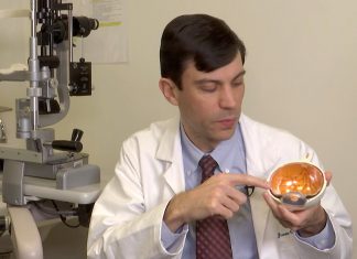 «Una nueva era en la medicina»: Utilizan por primera vez la herramienta de edición genética CRISPR en una persona ciega – RT en Español