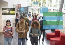 ¿Cuáles son las marcas a los que los millennials les guardan fidelidad? Este estudio nos lo dice – Merca2.0