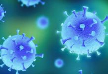 ¿Quiénes están ganando dinero con el coronavirus? – MSN