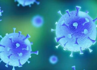 ¿Quiénes están ganando dinero con el coronavirus? – MSN