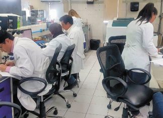 Medican mal a 10% de los pacientes en hospitales de Pemex | El Universal – El Universal