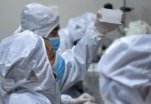 Coronavirus. Científicos encuentran dos tipos de Covid-19 | El Universal – El Universal