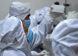 Coronavirus. Científicos encuentran dos tipos de Covid-19 | El Universal – El Universal