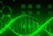 medicina tradicional china Resumen del mercado 2020, análisis competitivo, pronóstico de la industria regional y global hasta 2025 – El Informativo Inmobiliario