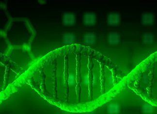 medicina tradicional china Resumen del mercado 2020, análisis competitivo, pronóstico de la industria regional y global hasta 2025 – El Informativo Inmobiliario