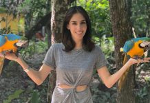 Sandra Echeverría preocupada por su salud debido a enfermedad desconocida – HOLA! USA