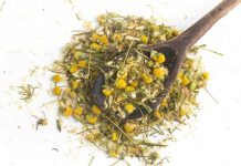 Qué es la manzanilla: propiedades, usos y beneficios a la salud | El Universal – El Universal