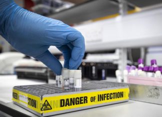 «Una nueva era en la medicina»: médicos editan el ADN de un paciente para intentar curarle la ceguera – Univision