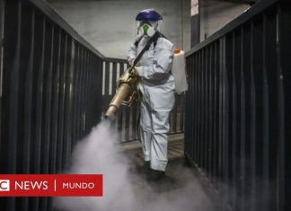 Coronavirus | «Estamos encarando epidemias como el covid-19 de forma equivocada»: entrevista con el ecólogo de enfermedades Peter Daszak – BBC News Mundo